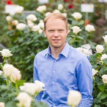 Peter in t Veld