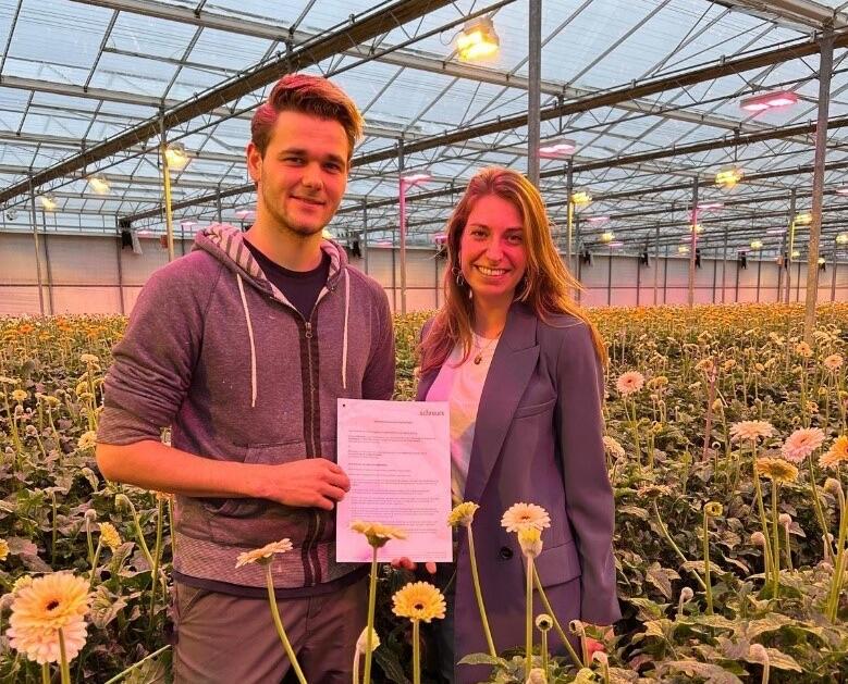 Schreurs Announces Collaboration with Kwekerij Hesen for Gerbera Breeding