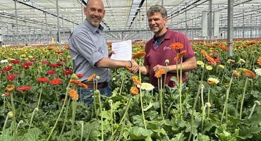 Schreurs Holland B.V. announces exclusive partnership with Kwekerij Esmeralda for the sales of gerbera varieties