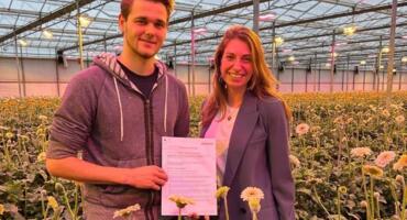 Schreurs Announces Collaboration with Kwekerij Hesen for Gerbera Breeding